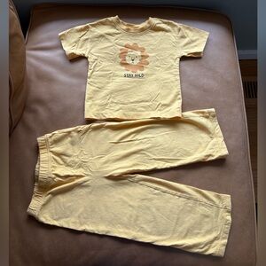 Hanna Andersson Lion Shirt and Wide Leg Pants Set